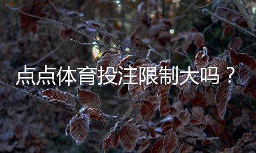 点点体育投注限制大吗?新手必看:账号、充值与投注限制全解析