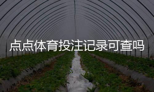 点点体育投注记录可查吗?账号投注与资金流水快速查询教程