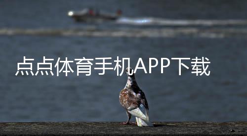 点点体育手机APP下载教程：安卓版与iOS最新版安装、注册与使用指南