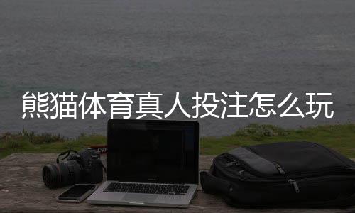 熊猫体育真人投注怎么玩？新手入门、玩法规则与实用投注技巧