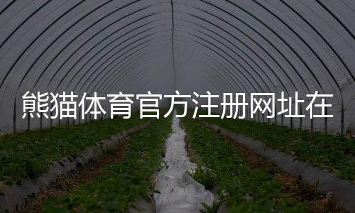 熊猫体育官方注册网址在哪？最新官方入口、注册流程与安全验证全攻略