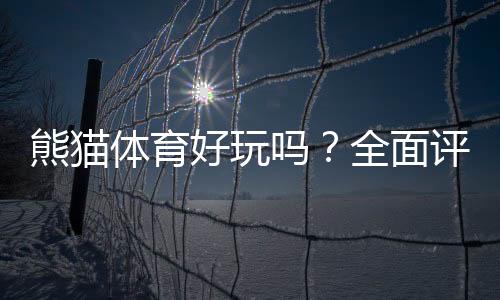 熊猫体育好玩吗?全面评测:玩法介绍、优缺点与新手上手指南