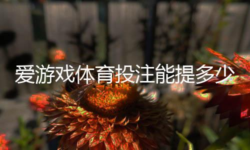 爱游戏体育投注能提多少钱?提现额度、到账时间与手续费全解析