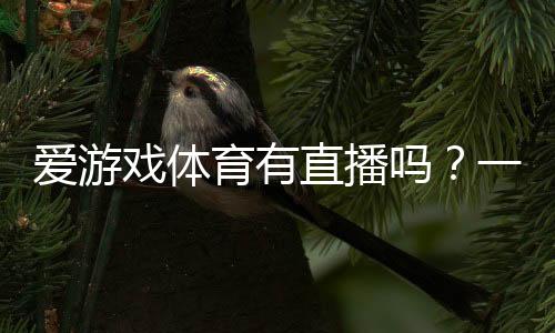 爱游戏体育有直播吗？一文看懂直播入口、观看攻略与常见问题解答