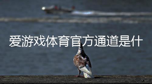 爱游戏体育官方通道是什么意思？新手入门、官方入口与安全使用全攻略