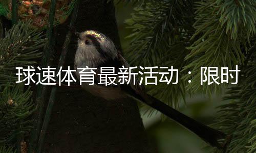 球速体育最新活动：限时优惠与精彩赛事等你来参与