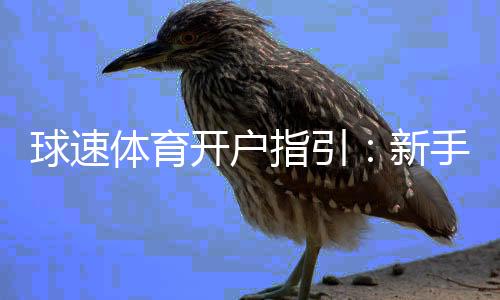 球速体育开户指引：新手必看的快速注册与充值教程