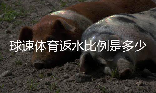 球速体育返水比例是多少？最新返水政策及领取攻略详解