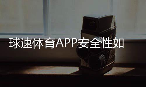 球速体育APP安全性如何？深度测评其资金保障与数据防护