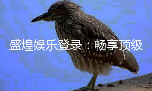 盛煌娱乐登录:畅享顶级棋牌电游的尊贵体验
