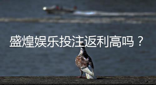 盛煌娱乐投注返利高吗?揭秘高返利活动真实参与攻略