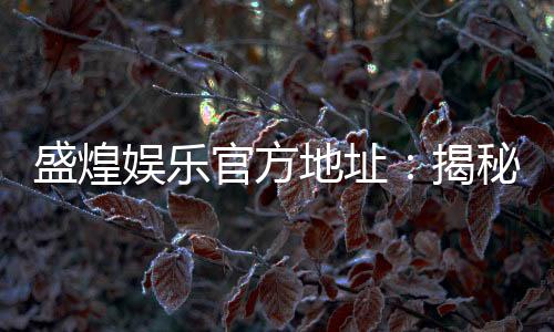 盛煌娱乐官方地址:揭秘官网入口与独家优惠活动