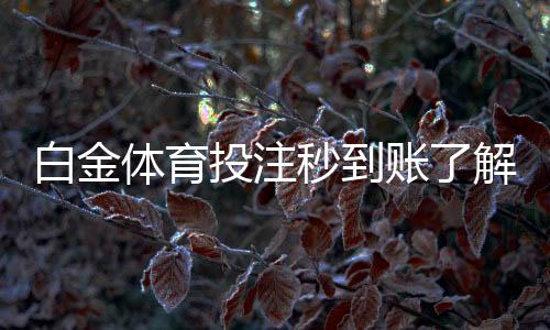 白金体育投注秒到账了解一下?