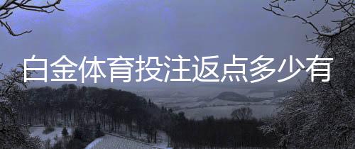 白金体育投注返点多少有哪些优势？