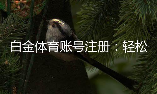 白金体育账号注册:轻松开始棋牌娱乐与电子游艺之旅
