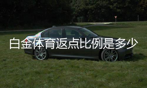白金体育返点比例是多少?揭秘返点政策