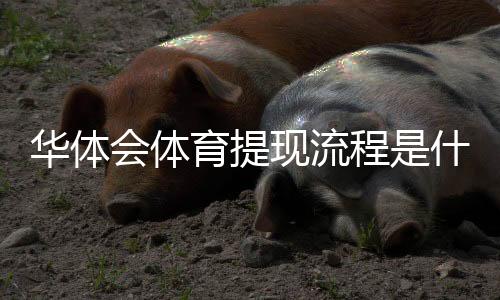 华体会体育提现流程是什么？新手必看提现步骤、到账时间与注意事项