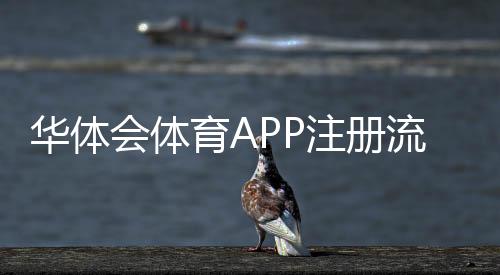 华体会体育APP注册流程详解:新手注册步骤、实名认证与常见问题一看就懂