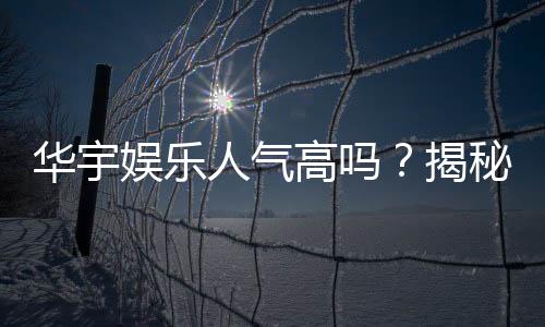 华宇娱乐人气高吗?揭秘其火爆原因与玩家真实评价