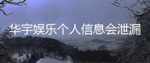 华宇娱乐个人信息会泄漏吗？深度解析平台安全性与防护措施
