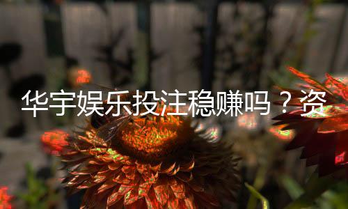 华宇娱乐投注稳赚吗？资深玩家揭秘真实盈利策略