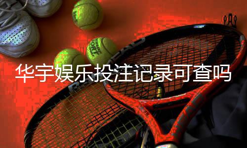 华宇娱乐投注记录可查吗？一文详解查询方法与注意事项
