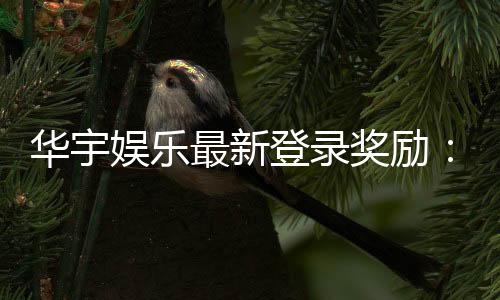华宇娱乐最新登录奖励:新人专享豪礼与每日惊喜活动
