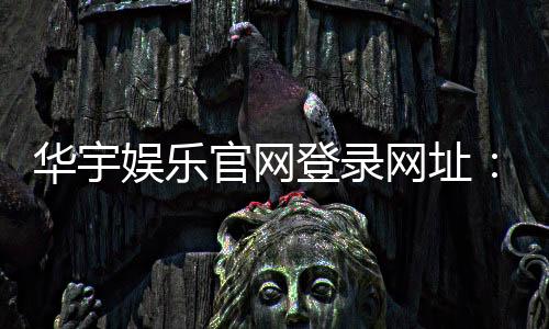 华宇娱乐官网登录网址:畅享顶级棋牌电游的尊贵体验