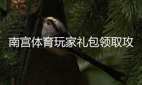 南宫体育玩家礼包领取攻略：新手必看礼包内容、激活码与使用详解