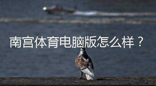 南宫体育电脑版怎么样？安装体验、功能亮点与安全性全面评测