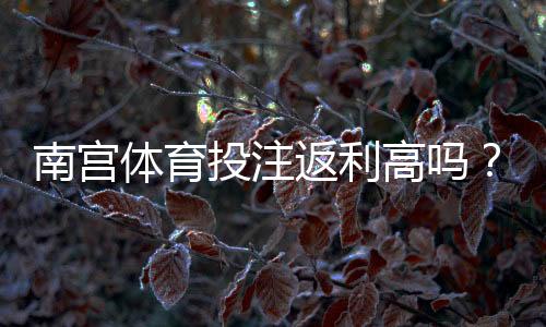 南宫体育投注返利高吗？真实返利率解析、计算方法与领取提现攻略