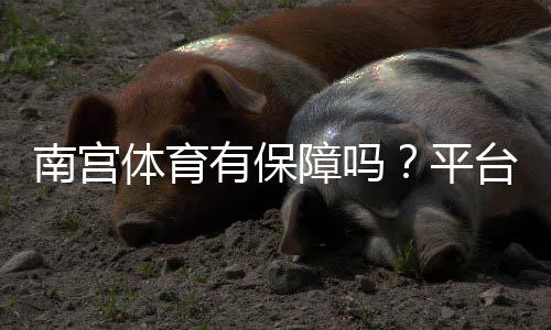 南宫体育有保障吗？平台安全性、资质与用户真实评价全解析