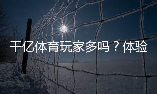 千亿体育玩家多吗?体验分享
