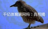 千亿体育黑网吗：真相揭秘