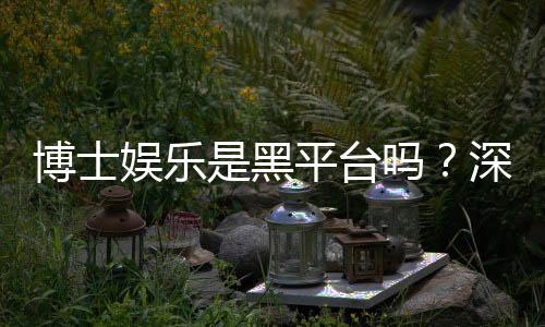 博士娱乐是黑平台吗?深度解析平台安全性与玩家真实体验