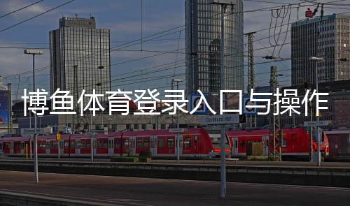 博鱼体育登录入口与操作指南：新手注册、忘记密码、账号安全与常见问题解析