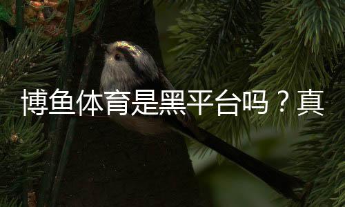 博鱼体育是黑平台吗?真实用户投诉、平台资质与提现体验全面评测