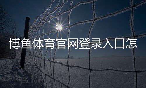 博鱼体育官网登录入口怎么进?官方登录教程与安全验证全攻略