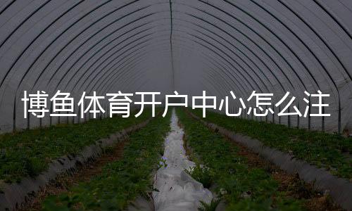 博鱼体育开户中心怎么注册?新手开户流程、优惠与安全注意事项详解