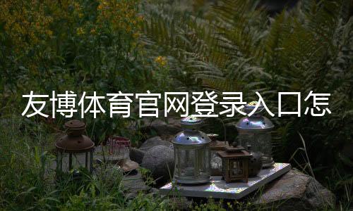 友博体育官网登录入口怎么进?新手注册登录步骤与常见问题全面指南