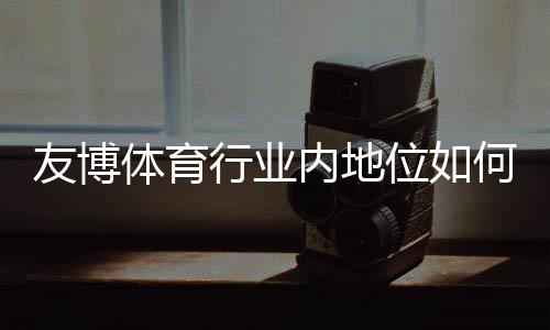 友博体育行业内地位如何？市场表现、竞争优势与用户口碑全面解析
