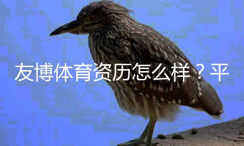 友博体育资历怎么样?平台背景、监管资质与安全性全面评估