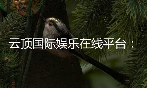 云顶国际娱乐在线平台：畅享顶级电子游艺与真人娱乐体验
