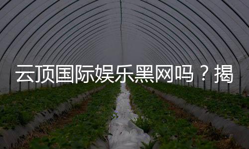 云顶国际娱乐黑网吗？揭秘其安全性与真实内幕