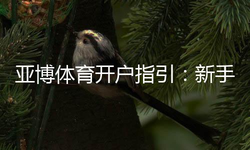 亚博体育开户指引:新手注册流程、身份验证与安全注意事项详解