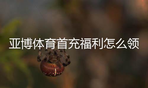 亚博体育首充福利怎么领取？新手领取教程与注意事项全解析