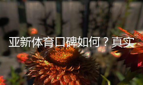 亚新体育口碑如何？真实玩家评价、优势缺点与安全性全面解析