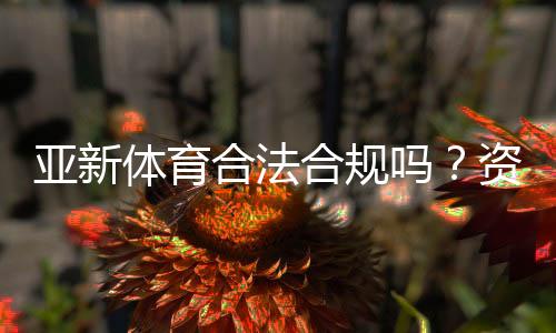 亚新体育合法合规吗？资质审核、监管状况与用户风险全面解析