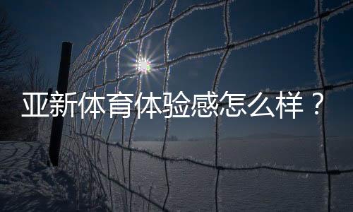 亚新体育体验感怎么样？真实用户评测与优缺点全面解析