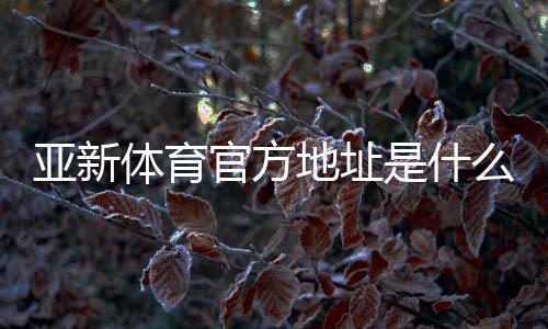 亚新体育官方地址是什么？最新官网入口、验证方法与访问技巧详解